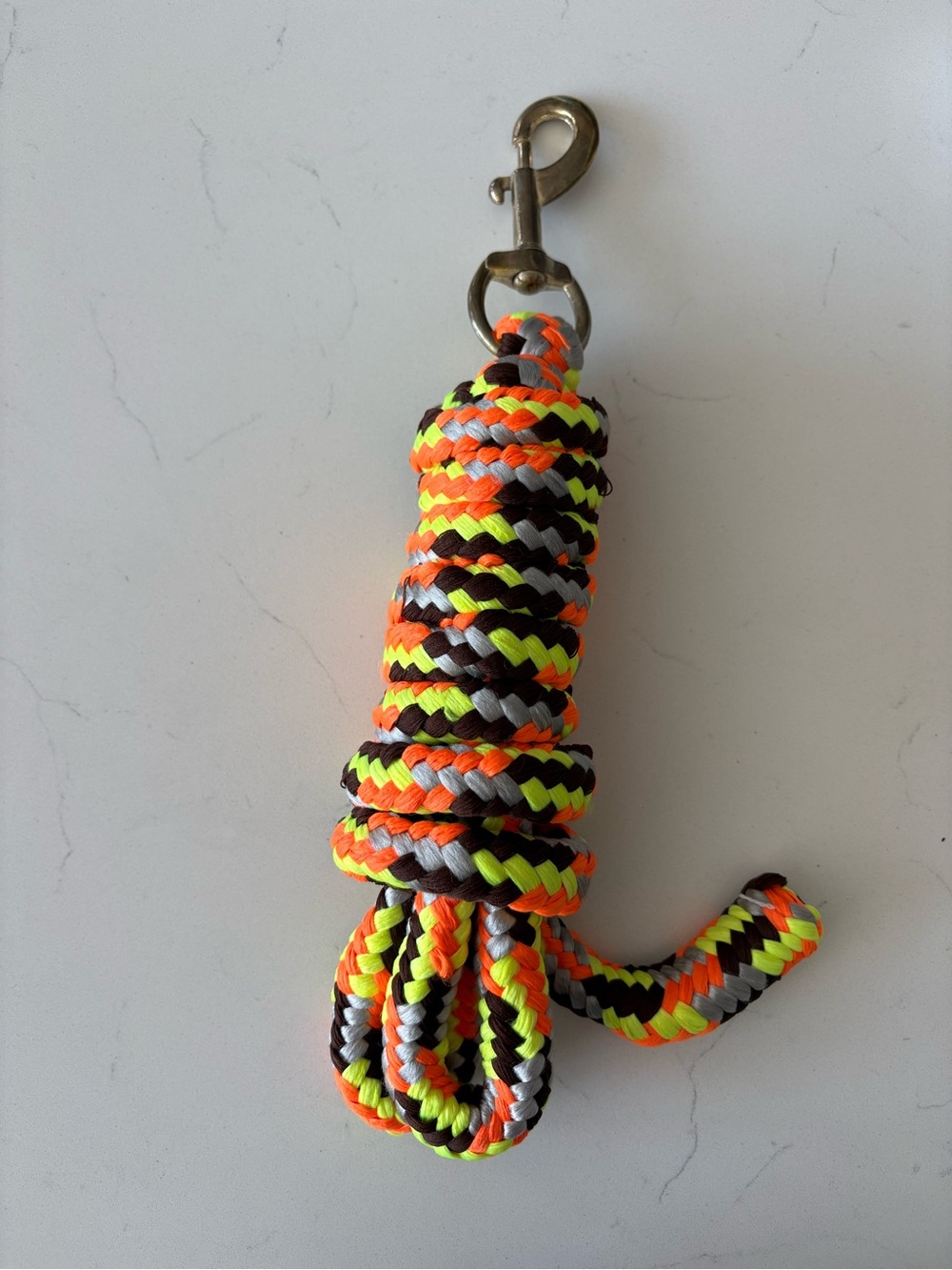 Neon Horse Lead Rope